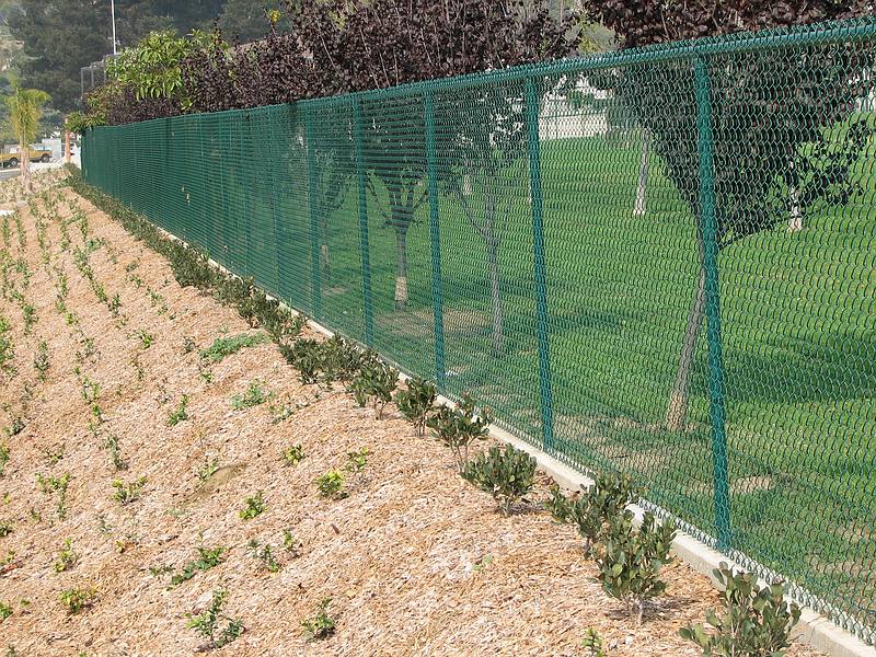 Green Vinyl Fencing C & W Construction Specialties